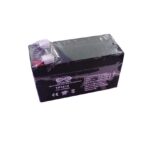 باتری خشک 12 ولت 1.3 آمپر ساعت